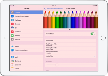 iPad Tablet with Overlay Feature
